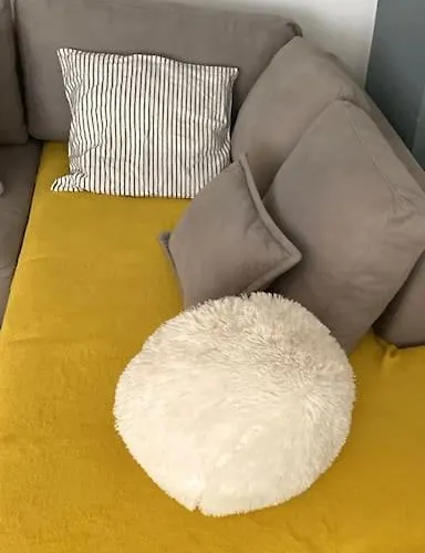 Sunlit Heaven In * ティラナ